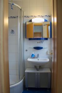La salle de bains est pourvue d'un lavabo et d'une douche. dans l'établissement Ferienhaus Bogsi, à Müllrose