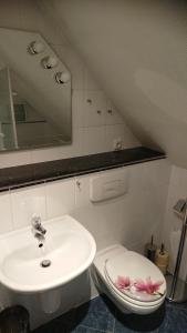 クアオルト・オーバーヴィーゼンタールにあるFerienwohnung Dachspitze mit Tiefgaragenstellplatz und Skiraumのバスルーム(洗面台、花のトイレ付)
