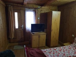 a bedroom with a tv and a bed in a room at Delia in Ocna Şugatag