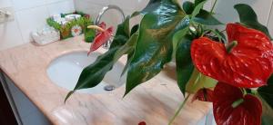 a plant sitting on top of a bathroom sink at Villa Antica Macina in Positano