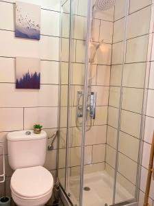 a bathroom with a toilet and a shower at Hibiscus Studio in Corralejo