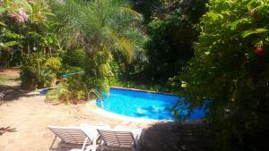 a swimming pool with white chairs and trees at Zazen Pousada by Santoregano in Maceió