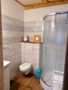 a bathroom with a shower and a toilet and a sink at Siedlisko Zakucie in Jaśliska