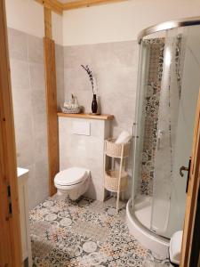 a bathroom with a toilet and a shower at Siedlisko Zakucie in Jaśliska