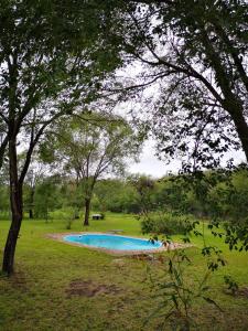 una piscina en medio de un campo con árboles en El Campito en Casa Grande