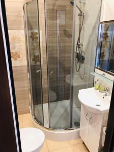 a bathroom with a shower and a toilet and a sink at Hotel Piast in Česk&yacute; Tě&scaron;&iacute;n