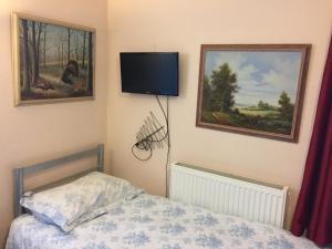 ロンドンにあるCentral Greenwich guest roomsのベッドと壁にテレビが掛かった寝室