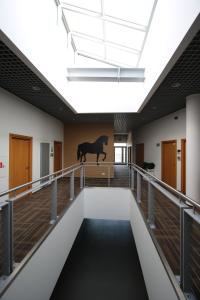 Gallery image of Hipodrom Sopot in Sopot +43 photos