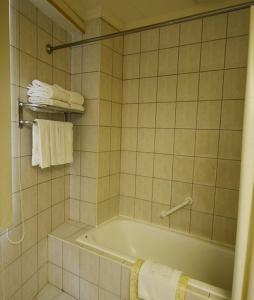 a bathroom with a tub and towels on a wall at Cambridge Hotel - Yung Kang in Yongkang