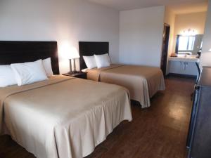 Postel nebo postele na pokoji v ubytování Hotel Cotulla