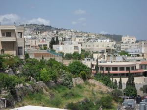 a view of a city with buildings on a hill at Alexander Hotel in Bethlehem