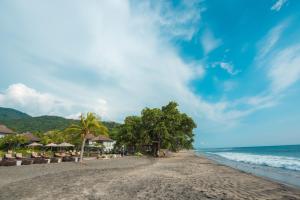 a beach with chairs and trees and the ocean at Living Asia Resort and Spa in Senggigi