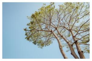 Fotografija v galeriji nastanitve CandyFloss 棉花糖民宿 遊高雄 v mestu Kaohsiung