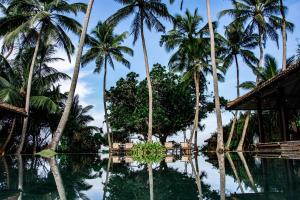 - une vue sur la piscine d'un complexe avec des palmiers dans l'établissement Sundara by Mosvold, à Balapitiya