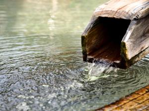 un tronco saliendo del agua en Yozyokan, en Yurihama