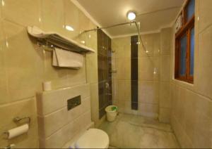a bathroom with a shower and a toilet and a sink at Hotel Grand Himalaya in Leh +39 photos
