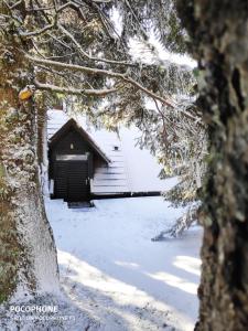 una cabaña en la nieve con un árbol en el primer plano en Tree Top Rogla Apartment, en Zreče