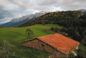 una vecchia casa in un campo con una montagna di Casa Rural Cal Xico ad Adrall