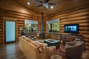 a living room with a couch and a tv at 38 The Mini Cabin in Wawona