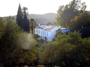 Gallery image of Finca La Favorita in Constantina