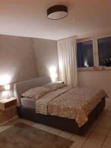 1 dormitorio con 1 cama con 2 lámparas y 2 ventanas en Zimmer Frei 2, en Wiesbaden