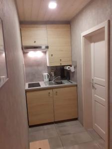 Elle comprend une petite cuisine avec des placards en bois et un évier. dans l'établissement Zimmer Frei 2, à Wiesbaden 2 autres photos