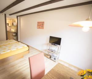 ein Schlafzimmer mit einem Bett und einem TV in einem Zimmer in der Unterkunft Gästehaus Gaby in Bad Bellingen