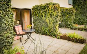 eine Terrasse mit einem Tisch und einer grünen Wand in der Unterkunft Gästehaus Gaby in Bad Bellingen