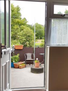 d'une porte ouverte sur une terrasse agrémentée de plantes en pot. dans l'établissement Saltburn Holidays 4 Park View, à Loftus