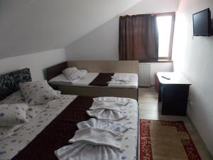 Gallery image of Pensiunea Paradis in Ranca