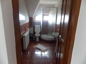 a small bathroom with a toilet and a sink at Pensiunea Paradis in Ranca +32 photos