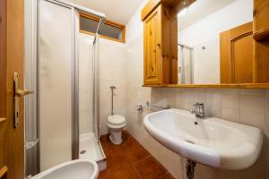 a bathroom with a sink and a toilet and a shower at Villa Radiosa - Stayincortina in Cortina dʼAmpezzo