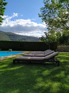 a row of chaise lounges on the grass near a pool at Quinta do Terreiro - Turismo de Habitacao in Lamego