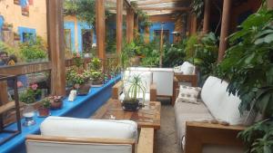a greenhouse filled with lots of potted plants at Hotel Posada El Paraíso in San Cristóbal de Las Casas