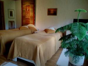 Säng eller sängar i ett rum på Hotelli Möhkön Rajakartano - Ilomantsi