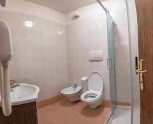 a bathroom with a toilet and a sink at Hotel Pezzotti in Pellizzano