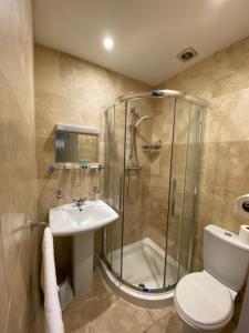 a bathroom with a shower and a toilet and a sink at Somerton Lodge in Shanklin