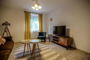 腓特烈港的住宿－Appartement Turan，一间带电视和桌子的客厅