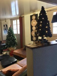 Posezení v ubytování Hôtel le Chardon Bleu