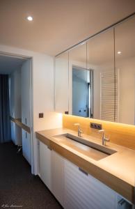 a bathroom with a sink and a mirror at M/S Carpe-Diem Cargo Hold in Ghent