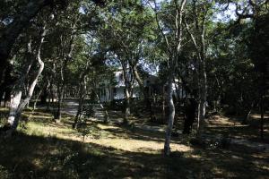 dom w środku lasu drzew w obiekcie Conca Marina w mieście Tempio Pausania