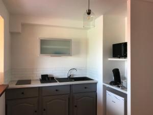 a kitchen with a sink and a microwave at La villa FLau Studio Frégate in Sainte-Luce