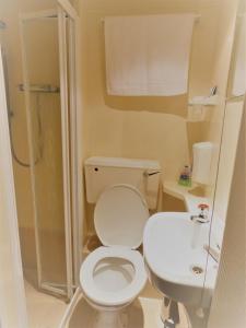 a small bathroom with a toilet and a sink at Hounslow Central Hotel in Hounslow