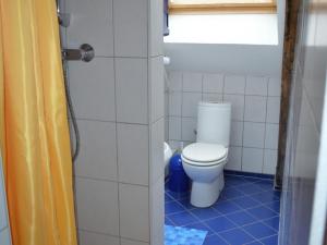 a bathroom with a toilet and a blue tile floor at Ferienwohnung Katzmann in Kromsdorf