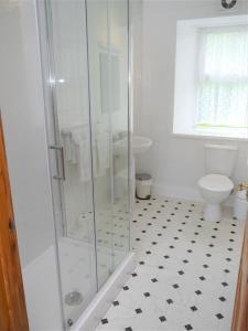 a bathroom with a shower and a toilet at Rowan Cottage in New Galloway