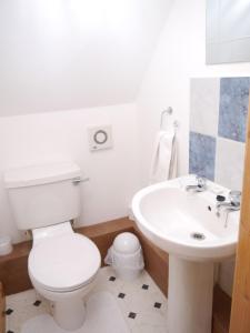 a bathroom with a white toilet and a sink at Rowan Cottage in New Galloway