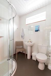 a bathroom with a toilet and a sink and a shower at Achmelvich Beach Youth Hostel in Achmelvich