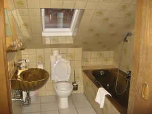 ein Badezimmer mit einem WC, einem Waschbecken und einer Badewanne in der Unterkunft Gasthaus Löwen in Freiburg im Breisgau