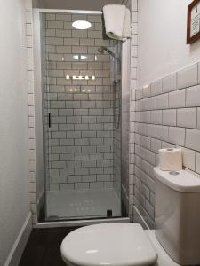 a bathroom with a shower with a toilet and a sink at Craig Villa Guest House in Dalmally