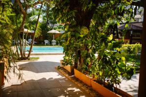 a pool with a bunch of plants next to a resort at Hotel La Brise in Cabo Frio
